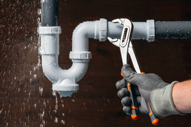 Professional Plumbing technician working in Congerville, IL